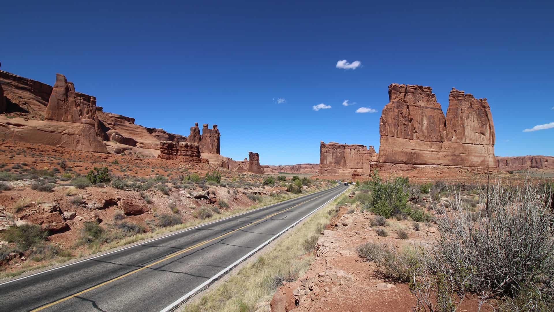 american outdoor brands