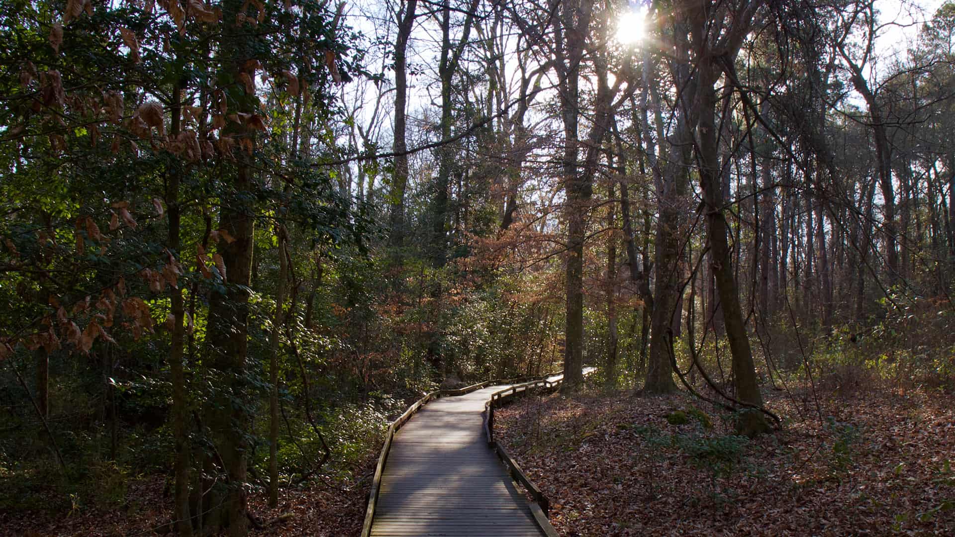 Congaree National Park