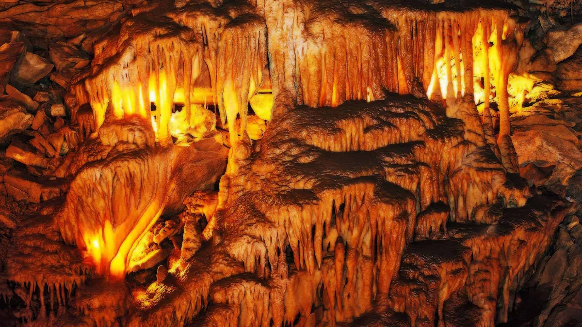 Mammoth Cave National Park