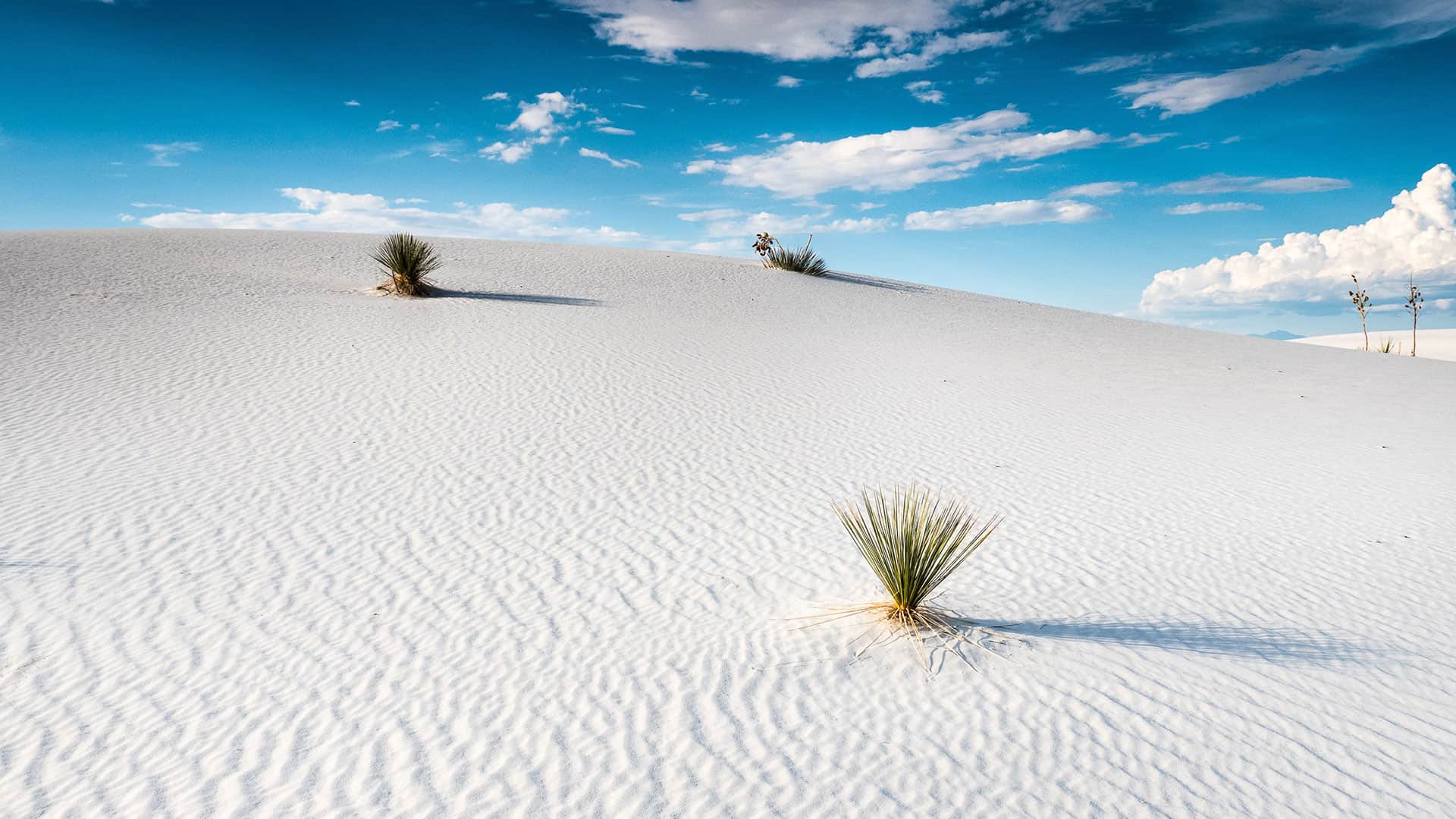 White Sands National Park